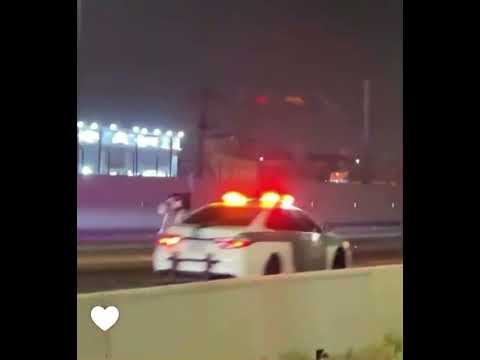 الشرطة السعودية تلاحق نعامة هاربة فى شوارع جدة