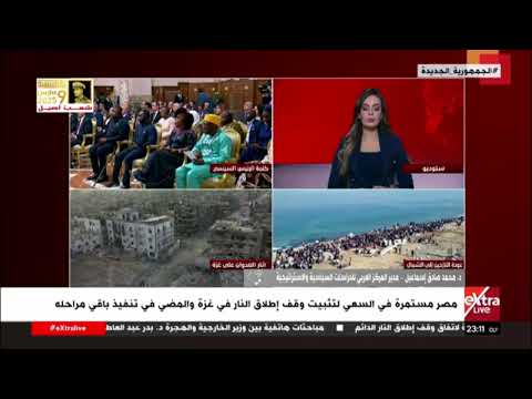 د. محمد صادق إسماعيل: الرئيس السيسي أكد على استمرار الدعم المصري للقضية الفلسطينية