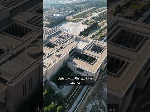 الكشف عن دور الإمارات في تهريب ثروات الأسد