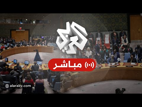 مباشر │ كلمة المندوب الفلسطيني أمام جلسة لمجلس الأمن بشأن التطورات في قطاع غزة