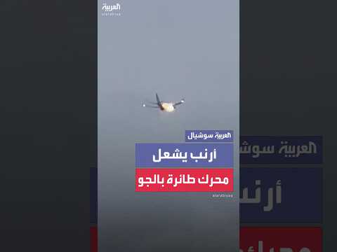 أرنب يشعل محرك طائرة أميركية في الجو.. على متنها 153 راكبا