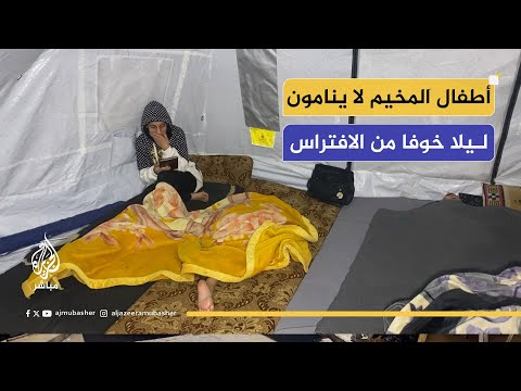 الكلاب الضالة تهدد حياة الأطفال في مخيم اليرموك