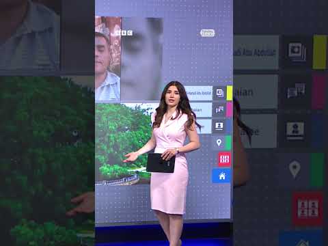 سقوط شجرة الغريب في اليمن