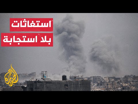 جندي يتسلّق جدار مدرسة لإزالة العلم الفلسطيني في بلدة كفر الديك غرب سلفيت بالضفة