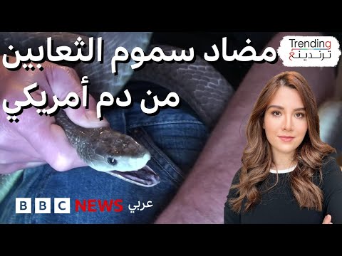 دم رجل أمريكي حقن نفسه بسم الأفعى لعقدين يؤدي لتطوير مضاد سموم لا مثيل له