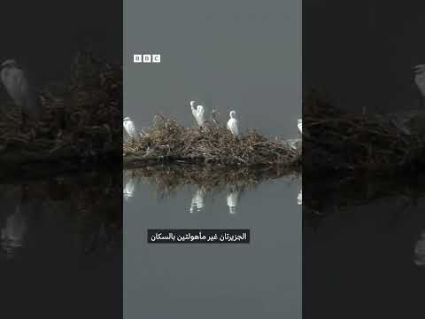 خمس حقائق عن تيران وصنافير