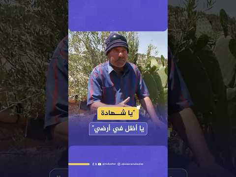 مسنّ فلسطيني يعود إلى أرضه جنوبي الخليل لحمايتها من المستوطنين