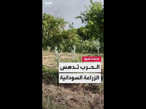 من ارتفاع أسعار الوقود إلى نقص البذور والأسمدة.. الحرب ترفع تكاليف الزراعة في السودان