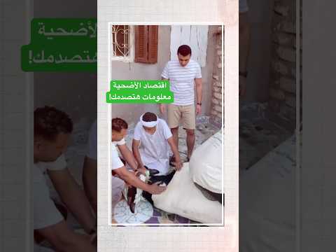 ما لا تعرفه عن اقتصاد الأضاحي.. ستنبهر!