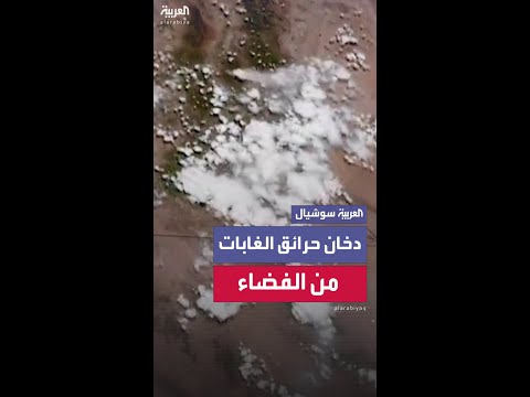أقمار صناعية تظهر أعمدة الدخان وهي تتشكل فوق ولايات أميركية.. مع انتشار حرائق الغابات
