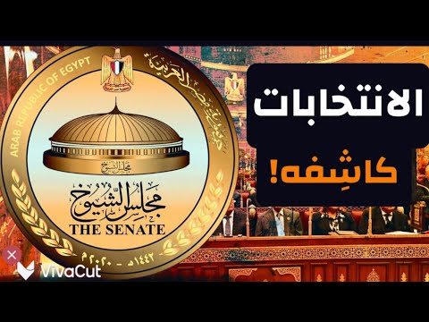 الانتخابات كاشِفه! ما الذي تستحقه مصر وأهلها؟! #معركة_الوعي