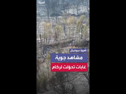 لقطات من طائرة مسيّرة تكشف تحوّل غابات إلى رماد إثر حريق اندلع جنوب فرنسا.
