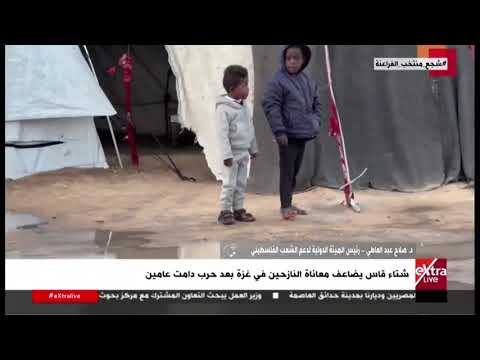 ما العقبات التي تواجه الهيئات الدولية الداعمة للفلسطينيين؟.. د. صلاح عبد العاطي يجيب