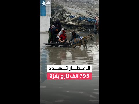 المنظمة الدولية للهجرة التابعة للأمم المتحدة: نحو 795 ألف نازح في قطاع غزة معرضون لاحتمال غرق خيامهم