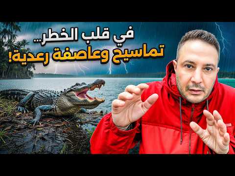 مغامرة فلوريدا: تماسيح في الحدائق العامة، مقتنيات نادرة، وعاصفة رعدية