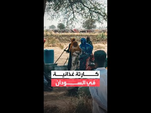 برنامج الأغذية العالمي يقلص مساعداته للسودان 70% وسط نقص حاد بالتمويل