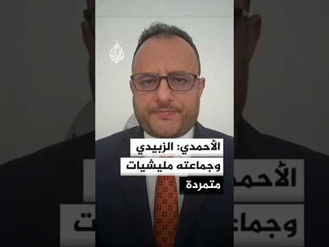 مستشار مكتب الرئاسة اليمنية: عيدروس الزبيدي وجماعته مليشيات متمردة