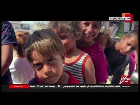جولة الـ12 ظهرا الإخبارية مع هايدي يسري