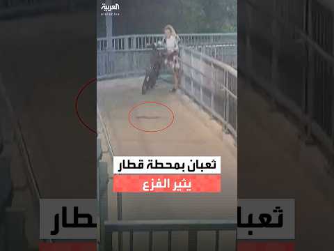 راكب حل الموقف دون تردد.. ثعبان صغير يثير الرعب في محطة قطار أسترالية