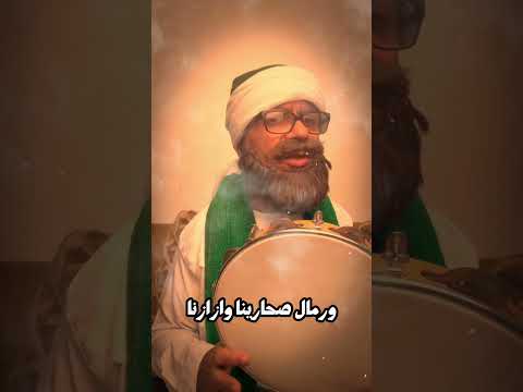 سر الحضرات الخاصة في مولد السيدة