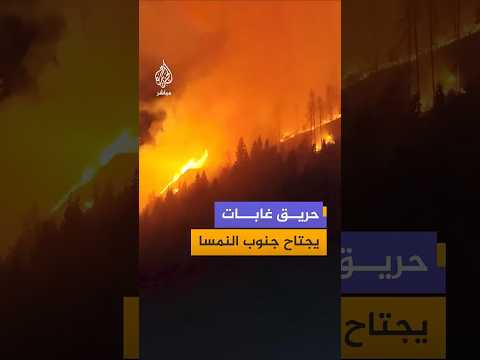 حريق غابات يجتاح جنوب النمسا
