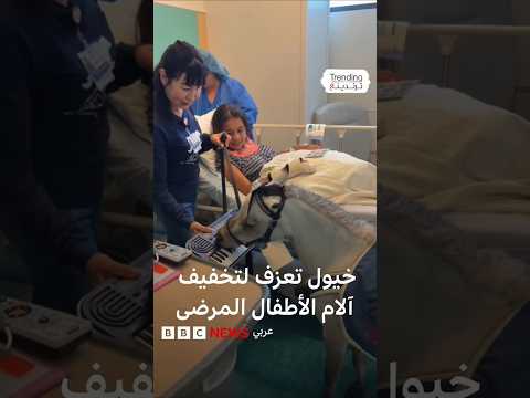خيول صغيرة لتخفيف آلام الأطفال المرضى بالمستشفيات في أمريكا