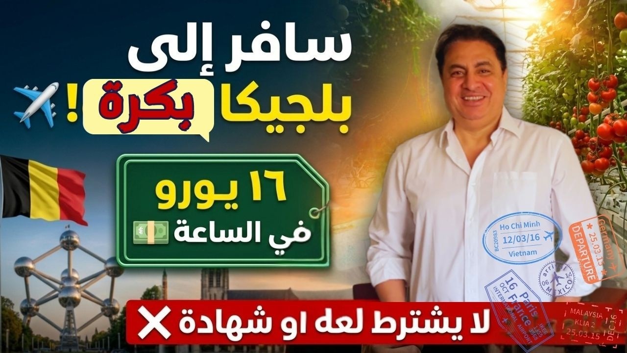 إزاي تسافر بلجيكا وتشتغل في ٩٠ يوم؟ خطوات الفيزا الموسمية بالتفصيل