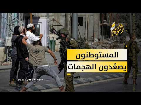 الضفة تحت النار.. اعتداءات المستوطنين تتصاعد والعقوبات الأوروبية بلا أثر رادع