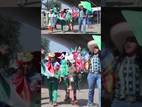 احتفال بالحمير. في عيد العمال في بلدة مكسيكية