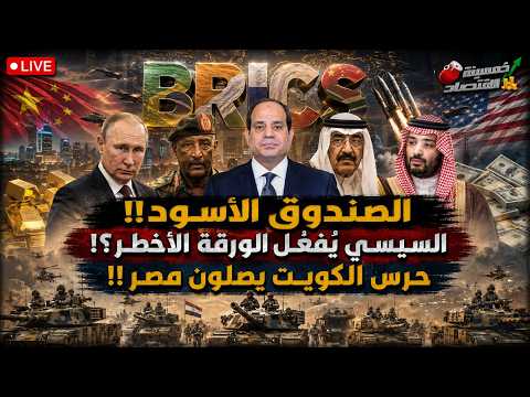 السيسي يستدعي القوة السوداء. مصر تبدأ أخطر مشروع عسكري خارج الحدود؟!