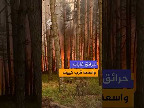 هيئة الطوارئ الأوكرانية تواصل عمليات إخماد حرائق واسعة اندلعت في غابات بمنطقة بوشا قرب كييف