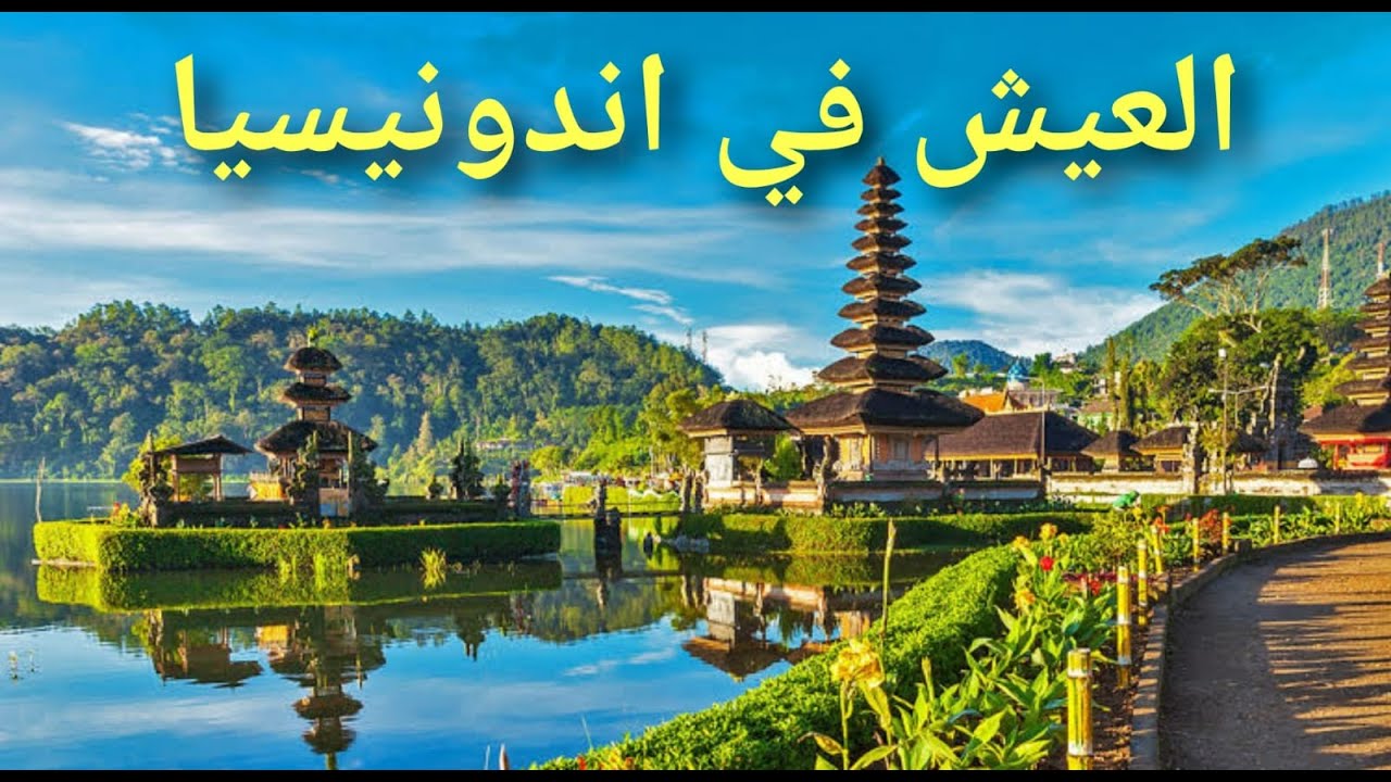 كيف يعيش العرب في إندونيسيا بدون وظيفة؟ السر الذي لا يعلن