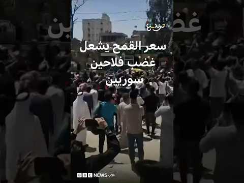 سعر القمح يشعل غضب فلاحين سوريين