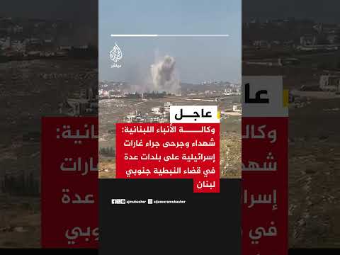 وكالة الأنباء اللبنانية: شـ ــــــهداء وجرحى جراء غارات إسرائيلية على بلدات جنوبي لبنان
