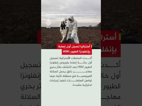 أستراليا تؤكد أول إصابة بفيروس إنفلونزا الطيور H5N1 في البر الرئيسي وتكثف إجراءات الوقاية والاستجابة