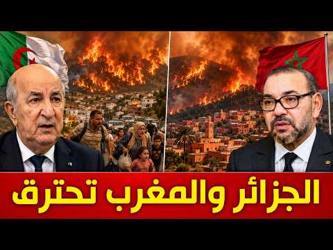4000 حريق يضرب المغرب والجزائر .. من أشعل الحرائق ؟
