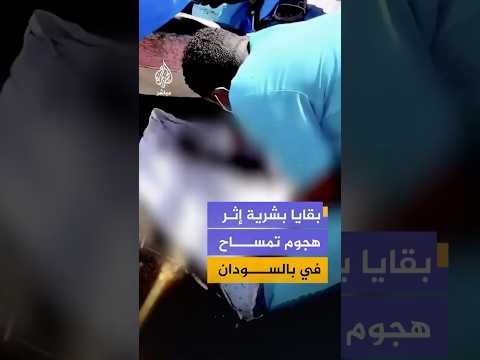 منصات سودانية تنشر مشاهد توثق العثور على جزء من جثمان شخص فُقد إثر هجوم تمساح بجزيرة صاي في السودان
