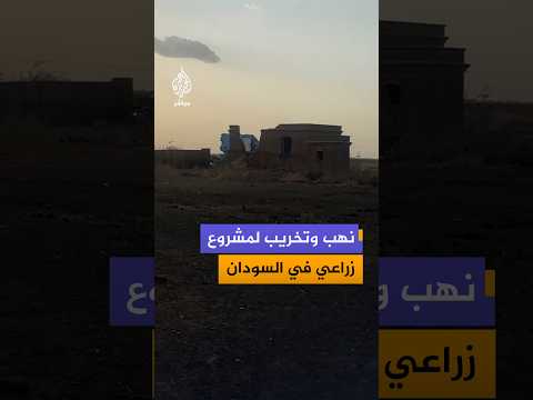 مشاهد توثق تعرض "مشروع الجزيرة الزراعي" في ولاية الجزيرة السودانية لعمليات نهب وتخريب واسعة