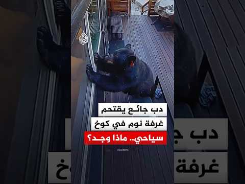 دب جائع يقتحم غرفة نوم في كوخ سياحي بولاية كاليفورنيا الأمريكية.. ماذا وجد؟