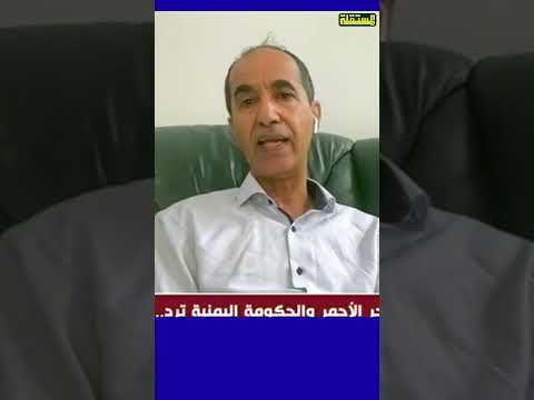 عادل الشجاع: السعودية تدفع الثمن في اليمن نتيجة سياساتها