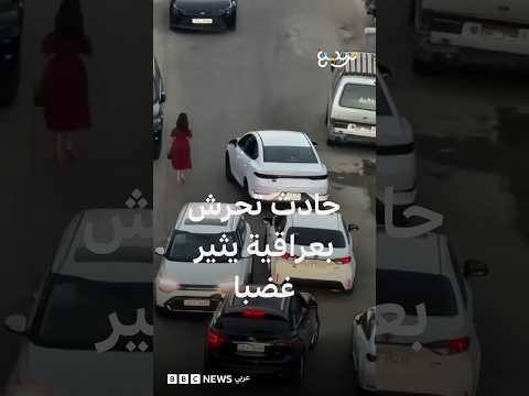 القبض على بعض المتورطين في حادثة تحرش بشابة عراقية في بغداد