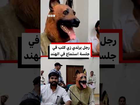 شاهد: رجل يرتدي زي كلب يظهر في جلسة استماع لمجلس محلي هندي