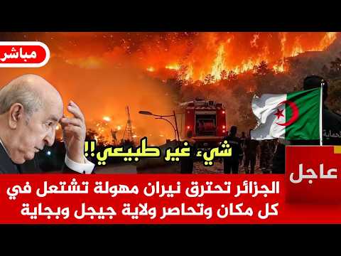 عاجل الآن🚨كارثة في الجزائر الان! حرائق مخيفة تلتهم ولاية جيجل وبجاية الجزائر تحترق نيران مهولة تشتعل