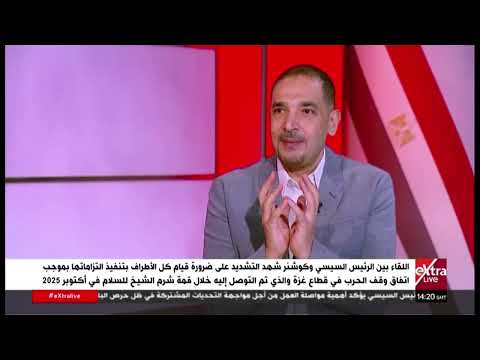 البرديسي: مصر لا تتعامل مع أعراض الأزمة الفلسطينية بل تستهدف جذور القضية وإعادة الحقوق التاريخية