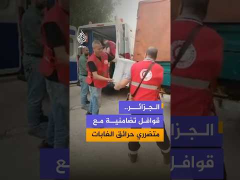 قوافل تضامنية تحمل الماء والغذاء تنطلق من مدن جزائرية باتجاه ولاية جيجل لإغاثة متضرري حرائق الغابات