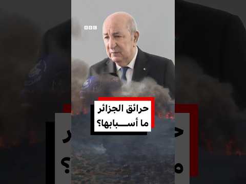 أكثر من عشرة وفيات ومئات الإصابات في حرائق الجزائر.. ما أسبابها؟