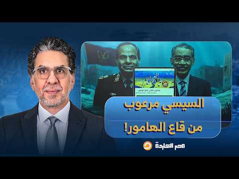 ناصر: تخيل إن السيسي مش عارف ينام ومرعوب من سبونج بوب وقاع الهامور!!