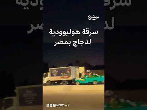 سرقة شاحنة دجاج على طريق سريع تثير الدهشة في مصر