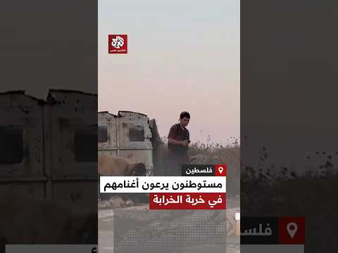 مستوطنون يرعون أغنامهم محيط منازل الأهالي في خربة الخرابة شرق بلدة السموع جنوب الخليل بفلسطين