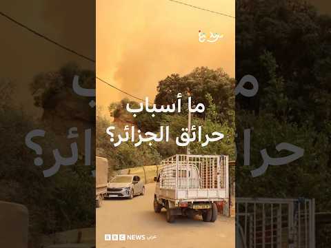"رانا محاصرين" حرائق الغابات بالجزائر تمتد إلى المنازل